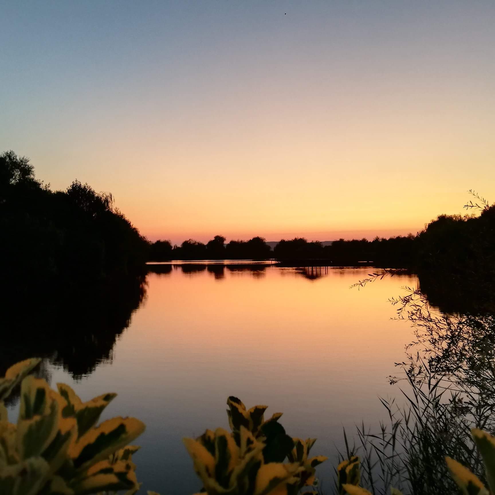 Image sunset